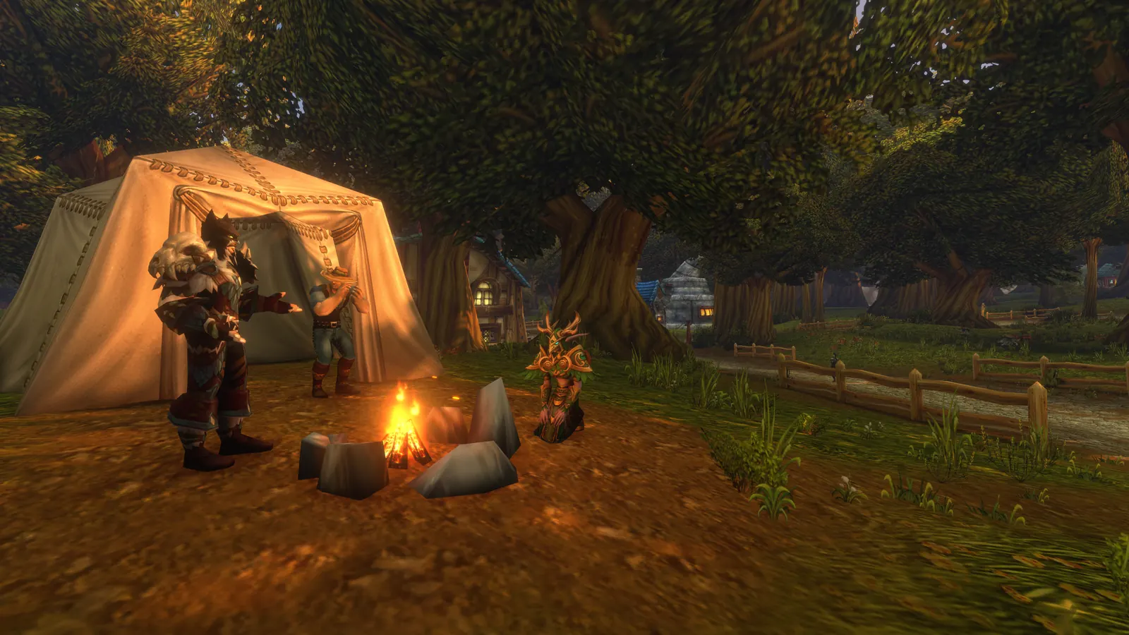 Camping
